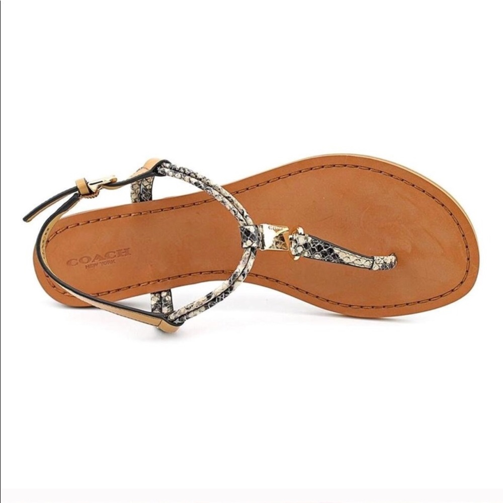 Coach Snakeskin Sandal- work twice!